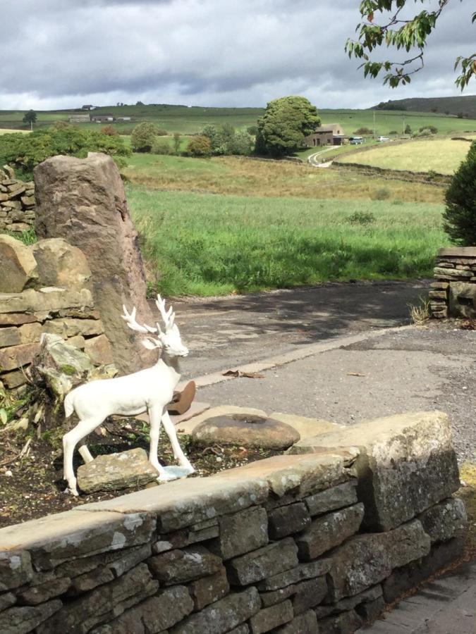 Cosy Rural Cottage Peak District, Pets Welcome Hollinsclough Extérieur photo